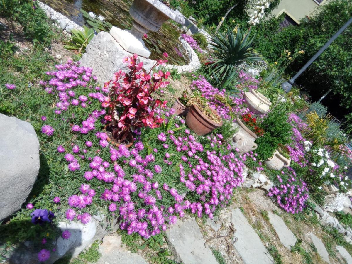 مونفالكوني Villa Fiorita المظهر الخارجي الصورة