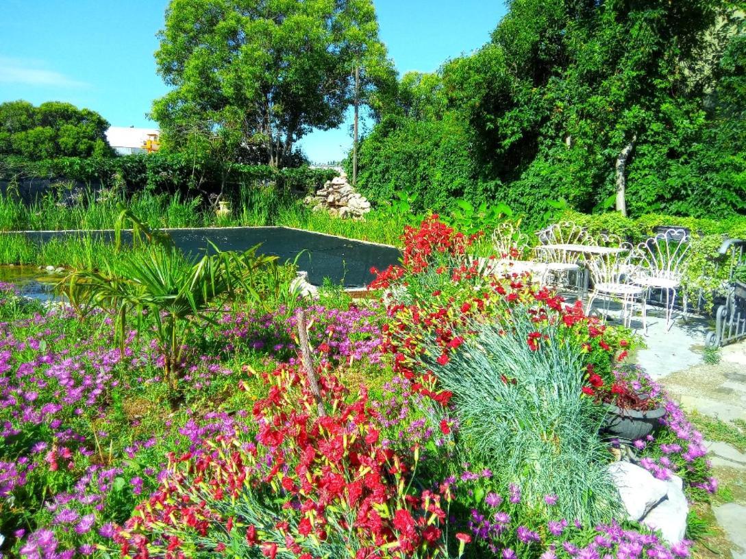 مونفالكوني Villa Fiorita المظهر الخارجي الصورة