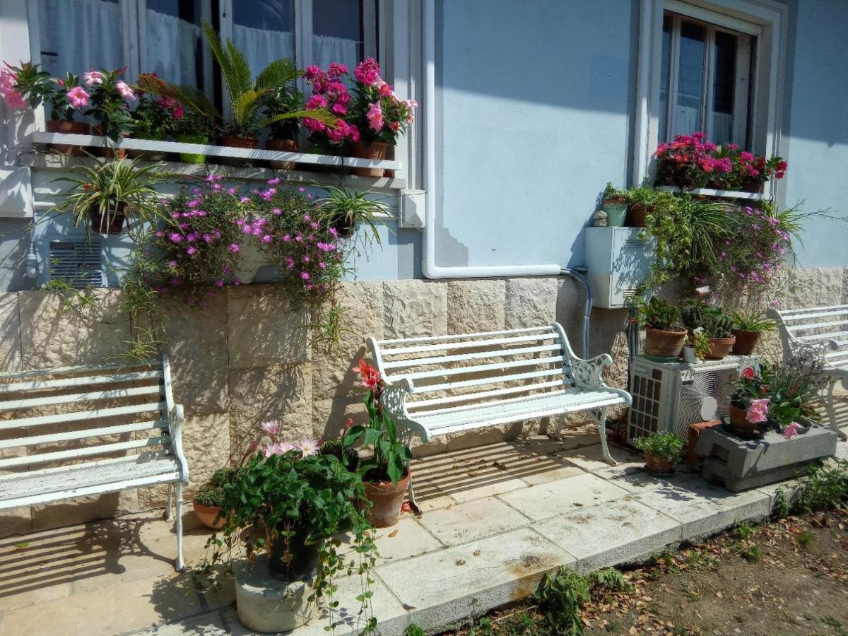 مونفالكوني Villa Fiorita المظهر الخارجي الصورة